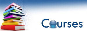 Professional courses in commerce